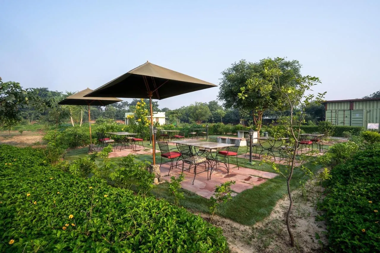 Tree Of Life Ecotainers Agra Hotel India